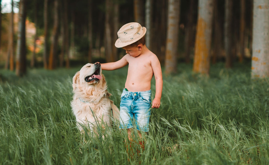 La influencia positiva de los perros en nuestros niños