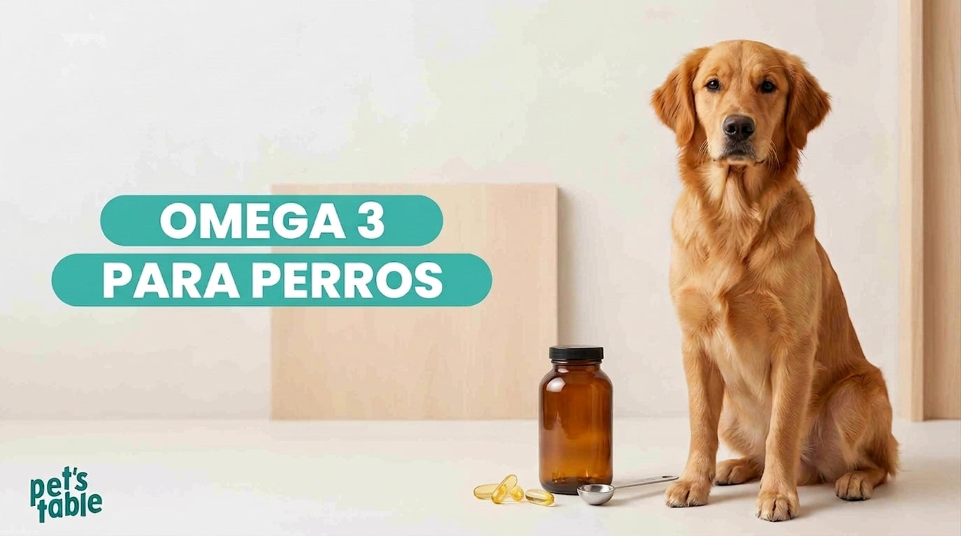 Omega 3 para perros: Descubre todos los beneficios potenciales de este  mineral para tu peludo - Pet's Table
