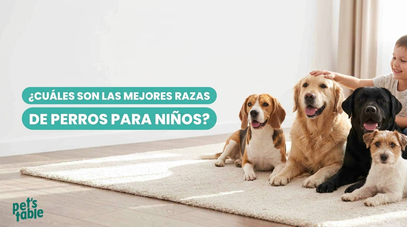 Las mejores razas de perros para niños: Descubre las razas más amigables y seguras para las familias y los niños - Pet's Table