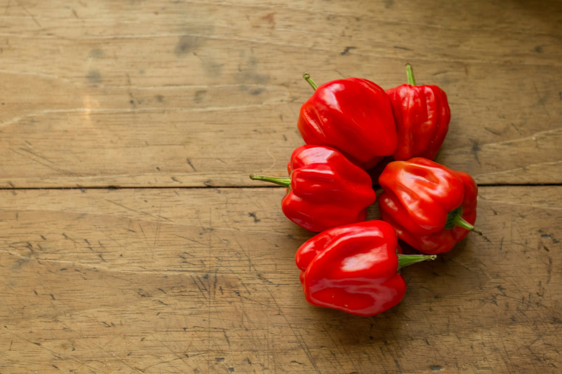 ¿Los peludos Pueden Comer Pimiento Morrón? Beneficios y Precauciones - Pets Table