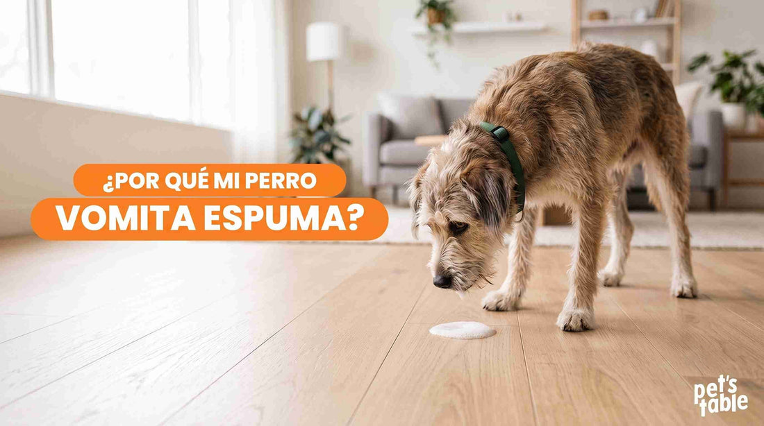 Descubre qué hacer si encuentras a tu perro vomitando espuma - Pet's Table