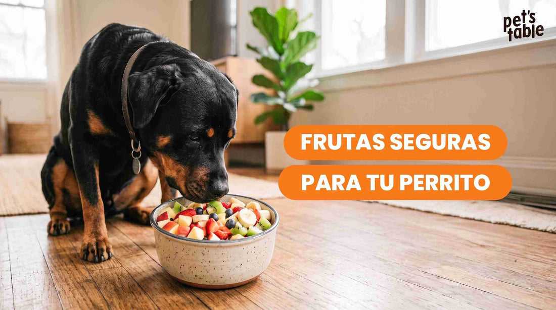 Conoce las frutas que pueden comer los perros - Pet's Table