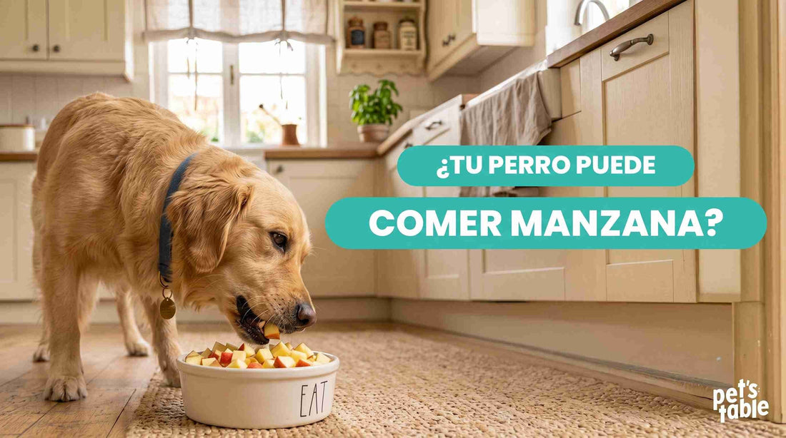¿Los perros pueden comer manzana roja? Aquí conocerás todo lo necesario para su cuidado y alimentación - Pet's Table