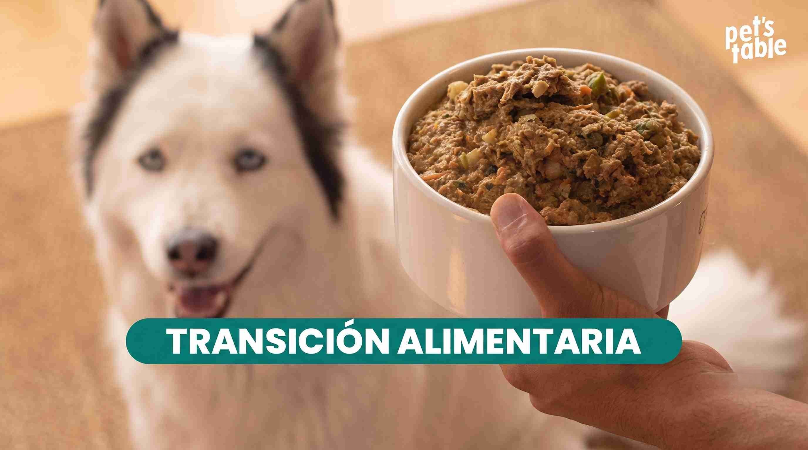 Transición alimentaria en perros: Guía definitiva para cambia de croquetas a comida natural para perros.