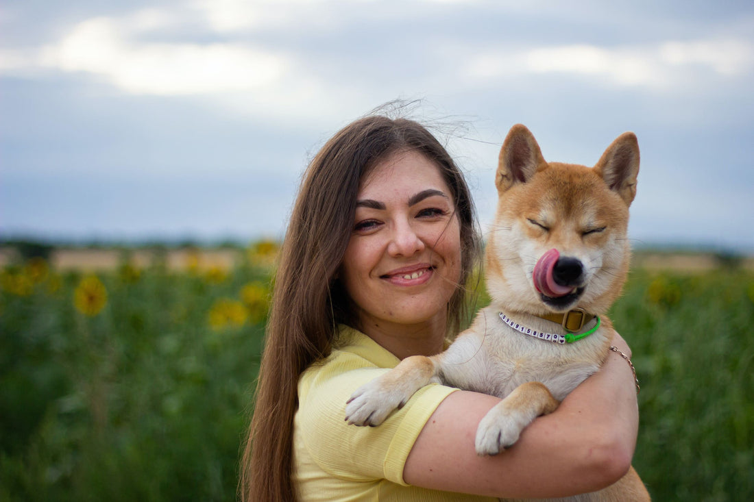 Vida perruna: Cómo los perros mejoran nuestras vidas y nosotros las de ellos - Pet's Table