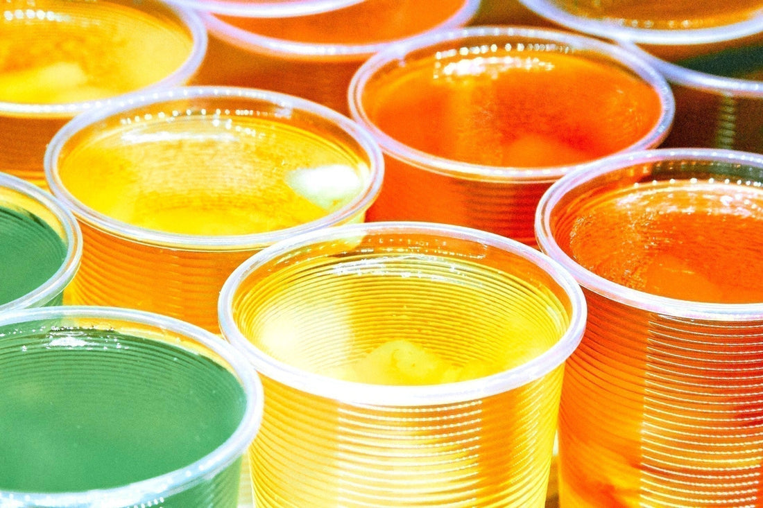 ¿Los perros pueden comer gelatina? Beneficios y precauciones - Pet's Table
