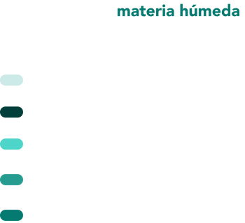 Ingredientes perritos