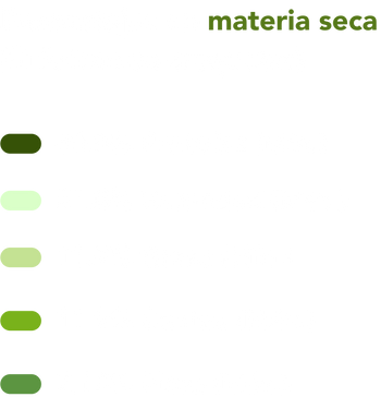 Ingredientes perritos