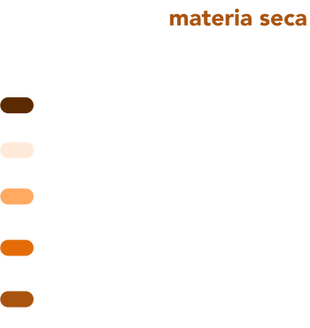 Ingredientes perritos