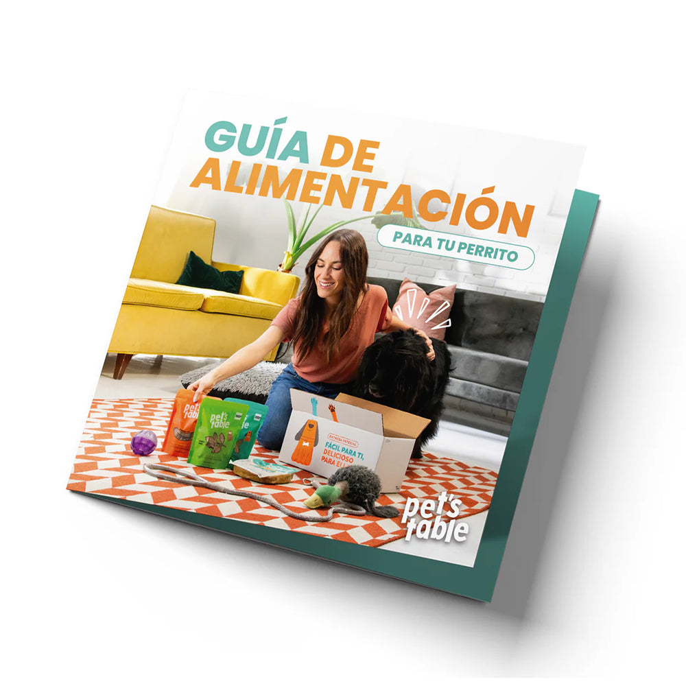 Guía de Alimentación