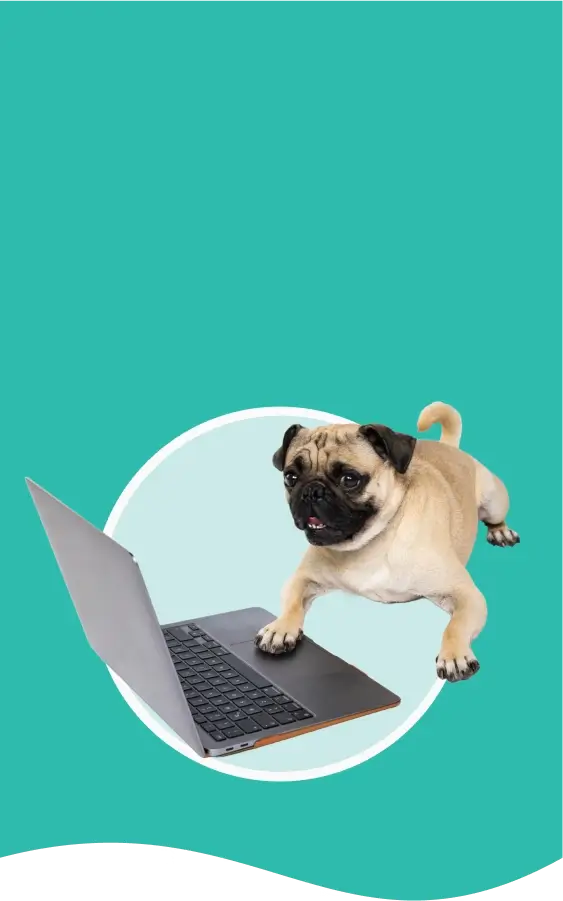 Banner decorativo con un pug manipulando una laptop