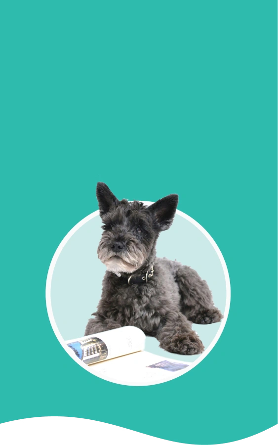 Perrito negro sentado al frende de un libro abierto 