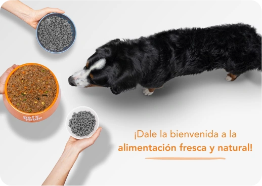 Dale la bienvenida a la alimentación fresca y natural