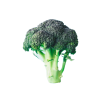 brocoli