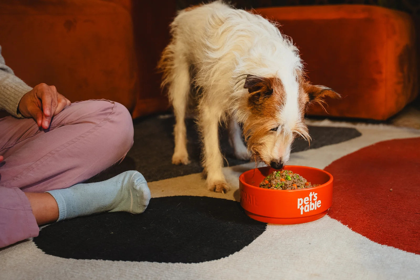 Perro comiendo Pet's Table de su plato, con su humana sentada al lado